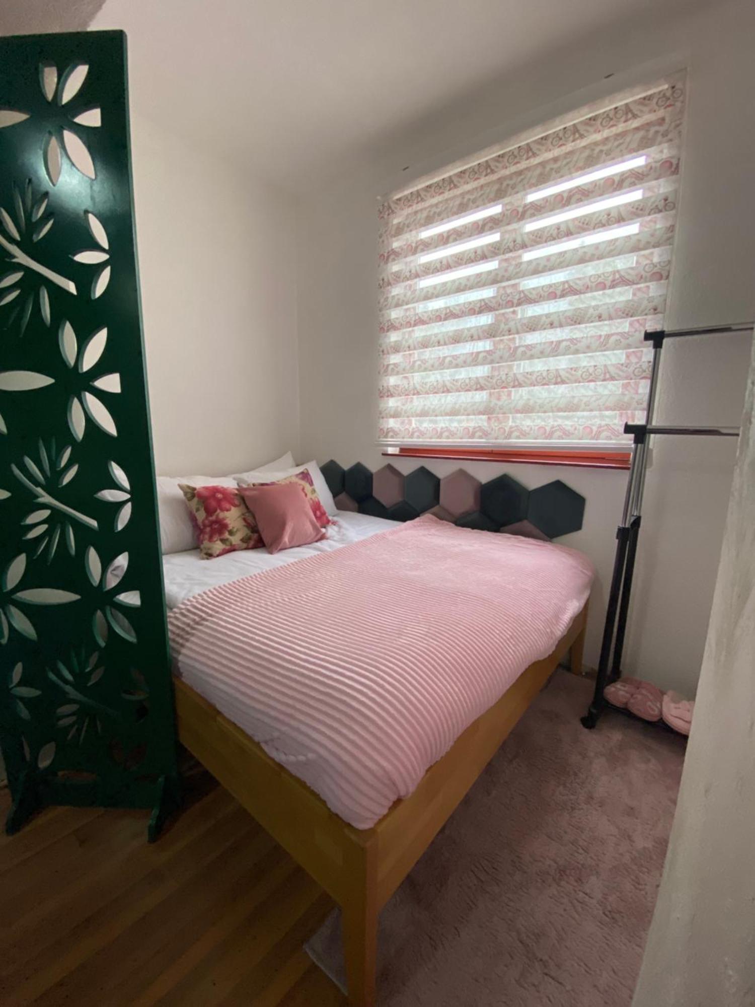 Alpin Apartments ולאסיץ מראה חיצוני תמונה