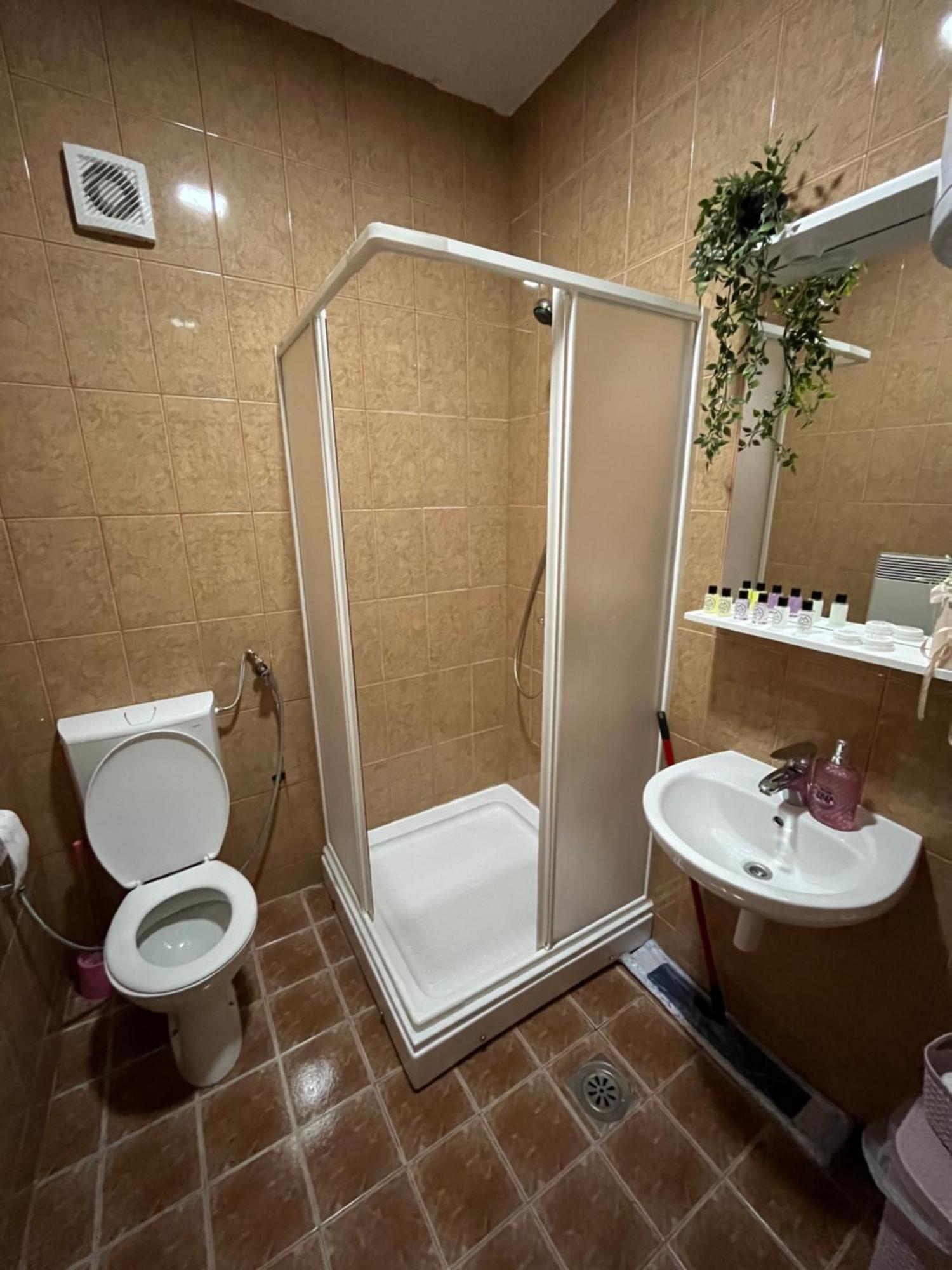 Alpin Apartments ולאסיץ מראה חיצוני תמונה